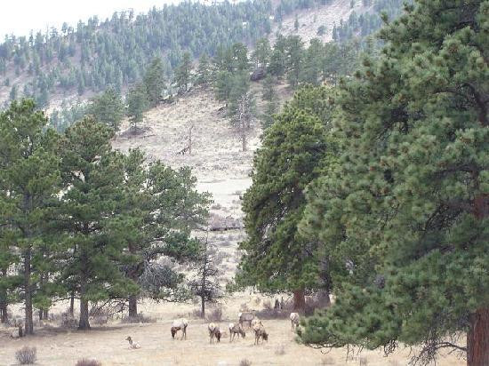 Bear Lake-普韦布洛必去景点