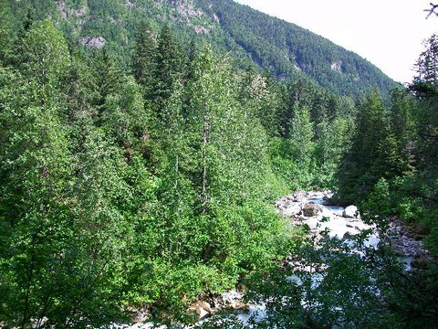 Packer Expeditions - Day Tours-史凯威必去景点