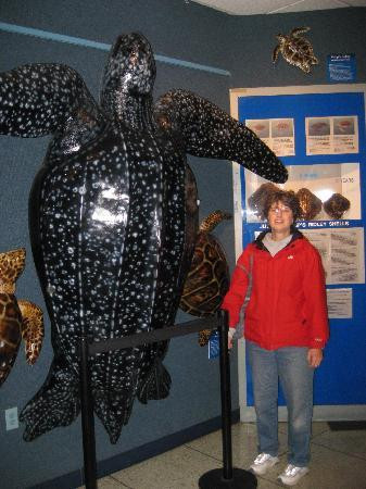 Woods Hole Science Aquarium景点图片