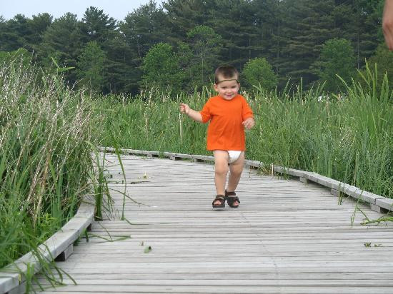 Kohler-Andrae State Park-希博伊根必去景点