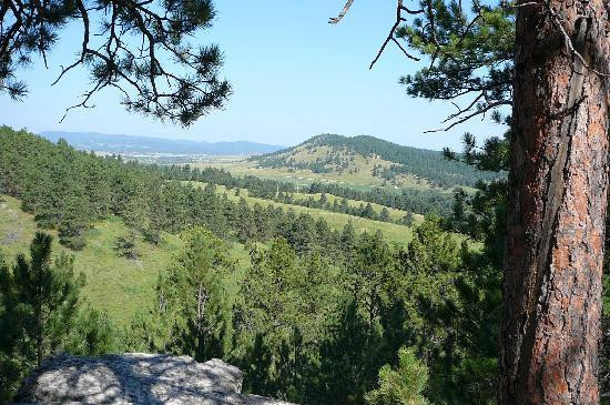 Petrified Forest of the Black Hills-Piedmont必去景点
