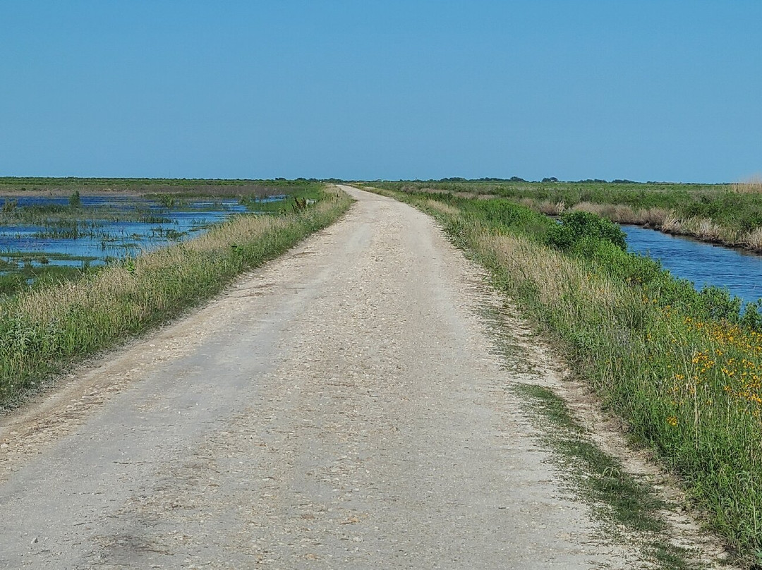 Brazoria National Wildlife Refuge-Freeport必去景点