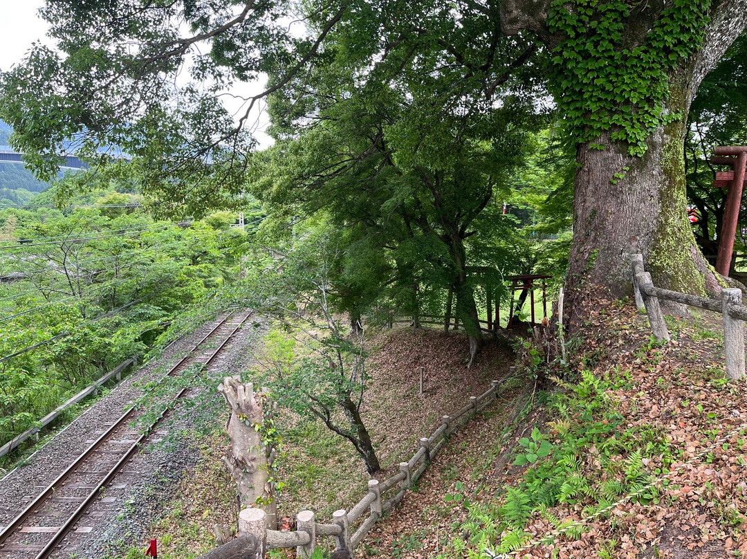 Nagashinojoshi景点图片
