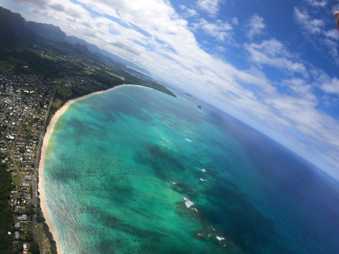 O'ahu Hawaii Tandem Paragliding景点图片