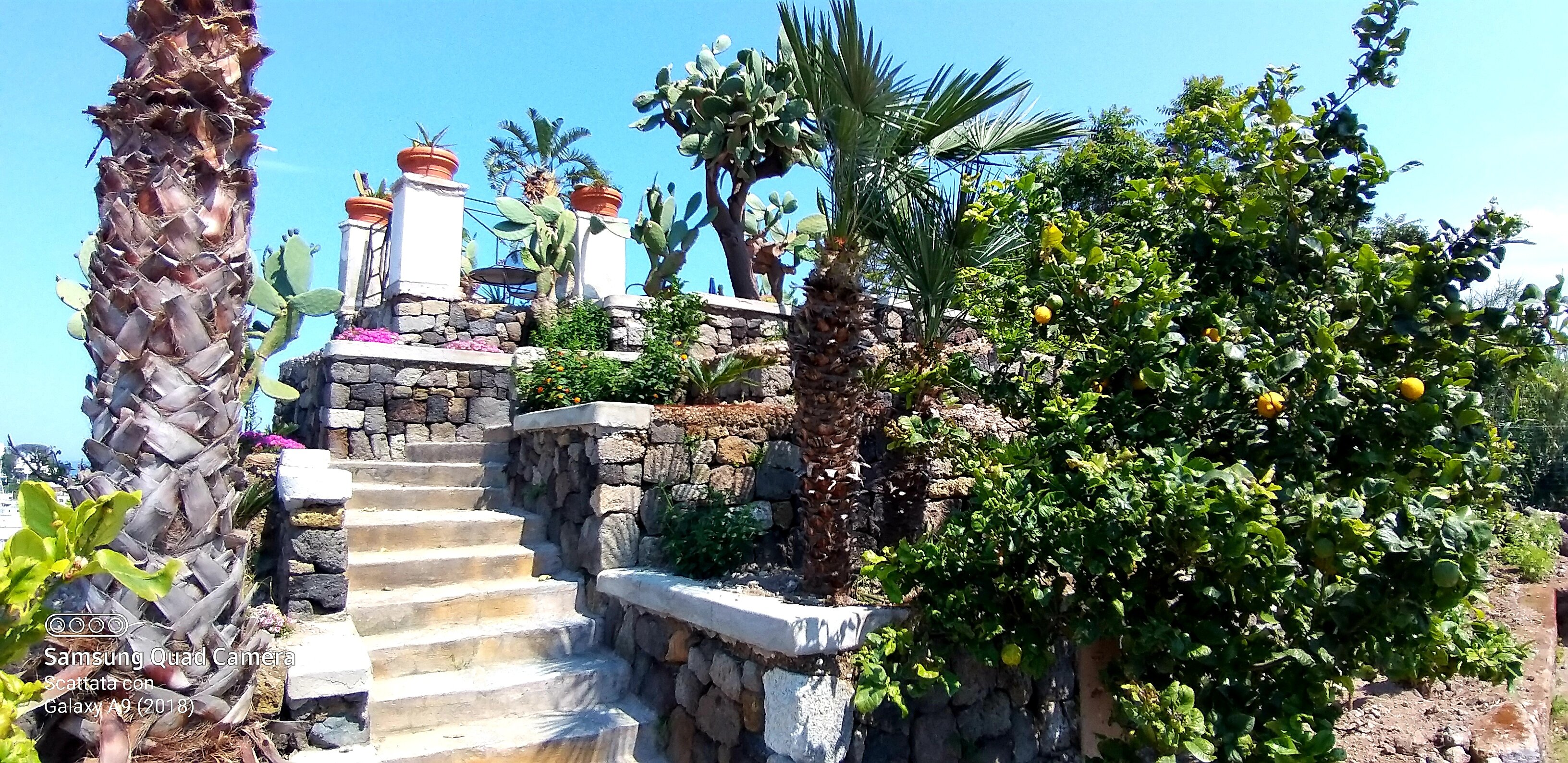 Aragona Palace Hotel-泳池