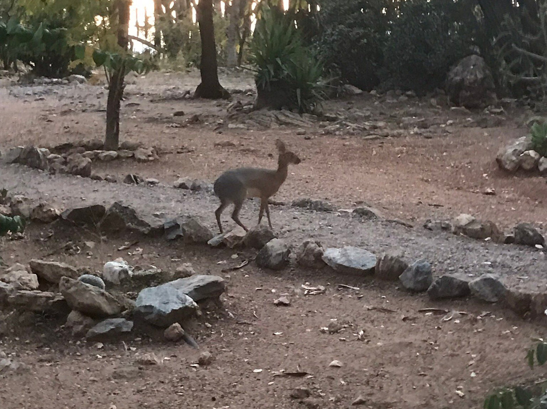 Weaver`s Rock Guest Farm主图