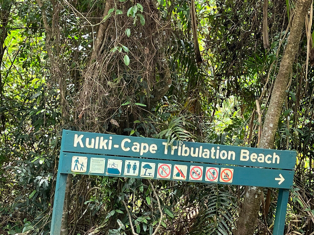 Kulki Boardwalk-Cape Tribulation必去景点