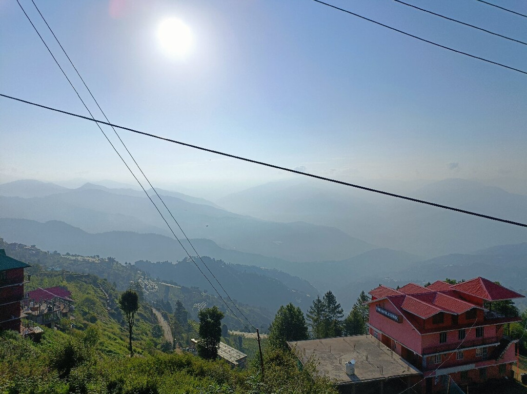 The Apple Blossom主图