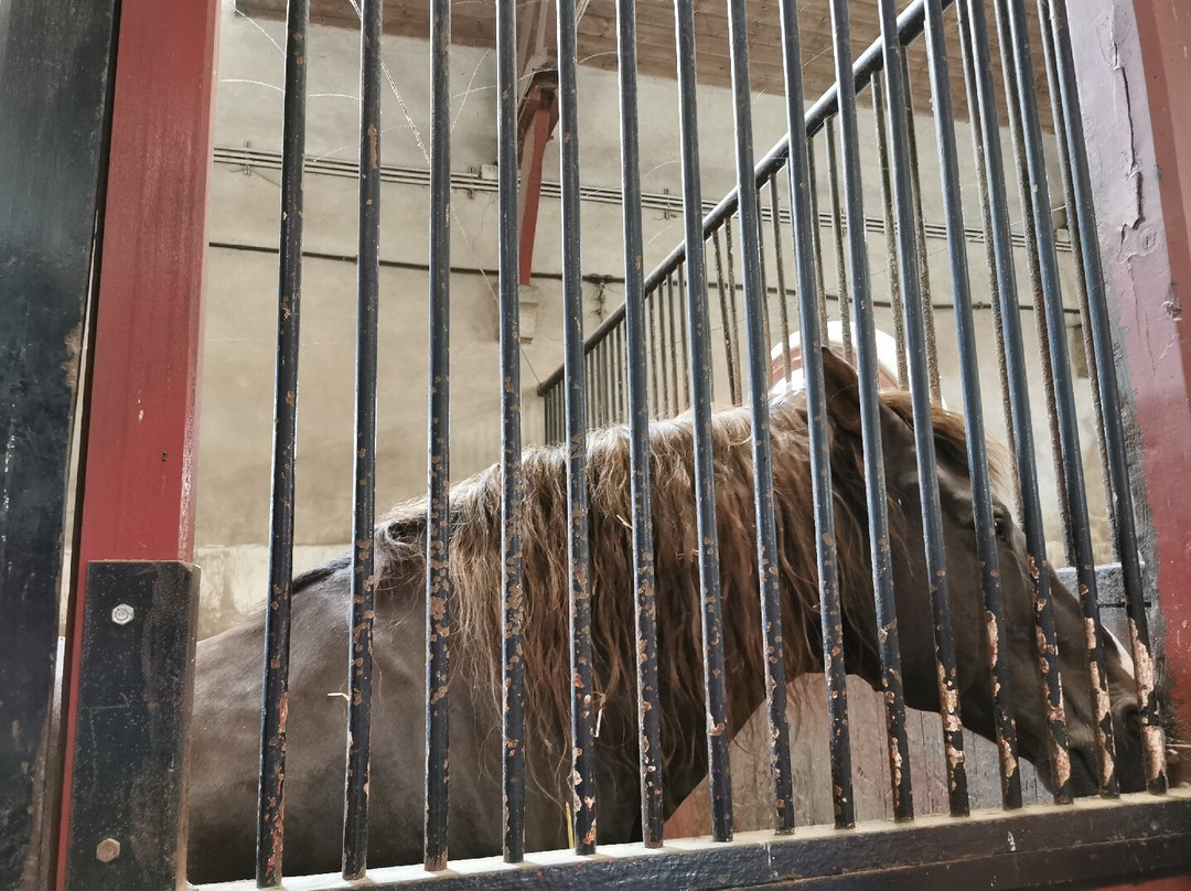 Haras National de Lamballe景点图片