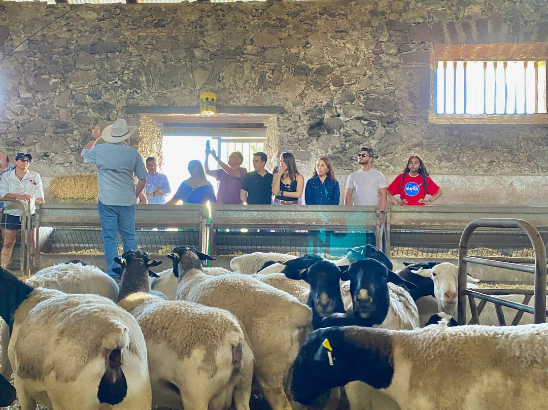 Ex Hacienda El Zoquital-Atotonilco El Grande必去景点