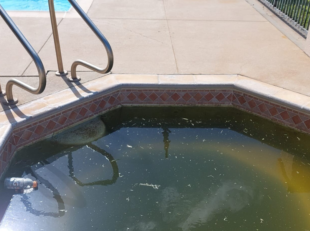 Comfort Suites Stafford Near Sugarland主图