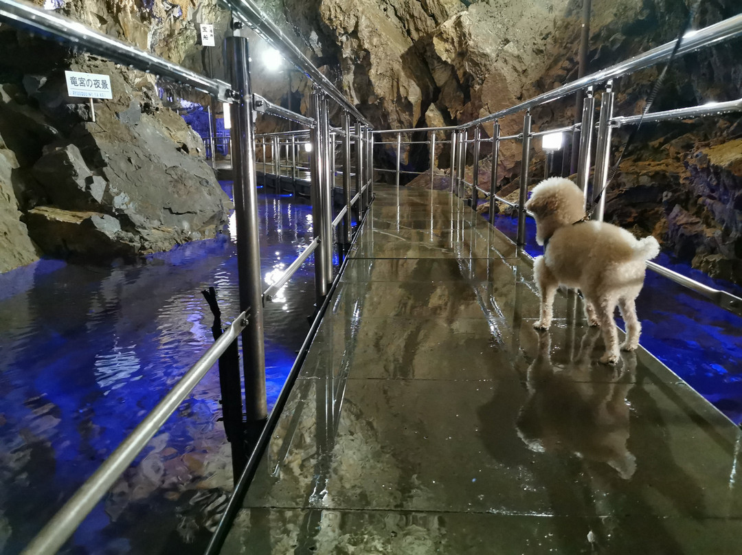 Great Limestone Cave of Hida and Ohashi Collection Museum景点图片