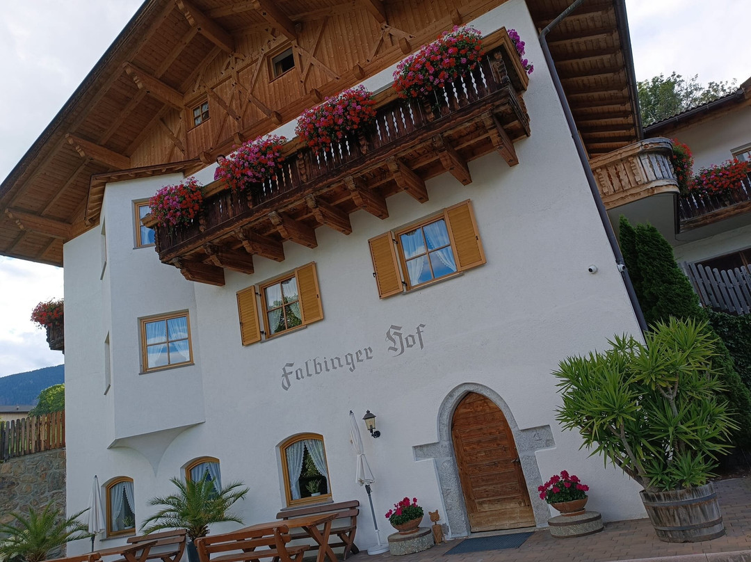 Falbingerhof主图