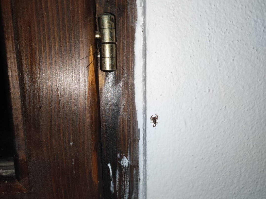 Guesthouse Zvono主图