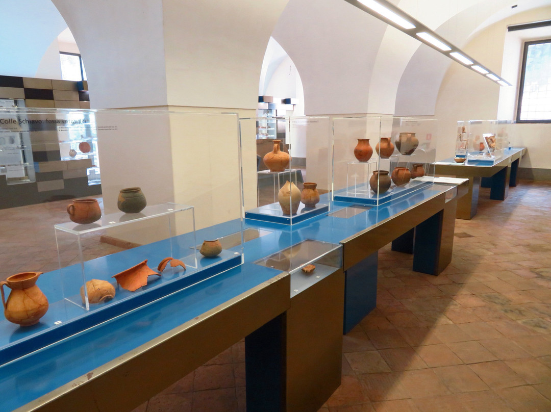 Museo Civico Archeologico R. Lamrechts-Artena必去景点