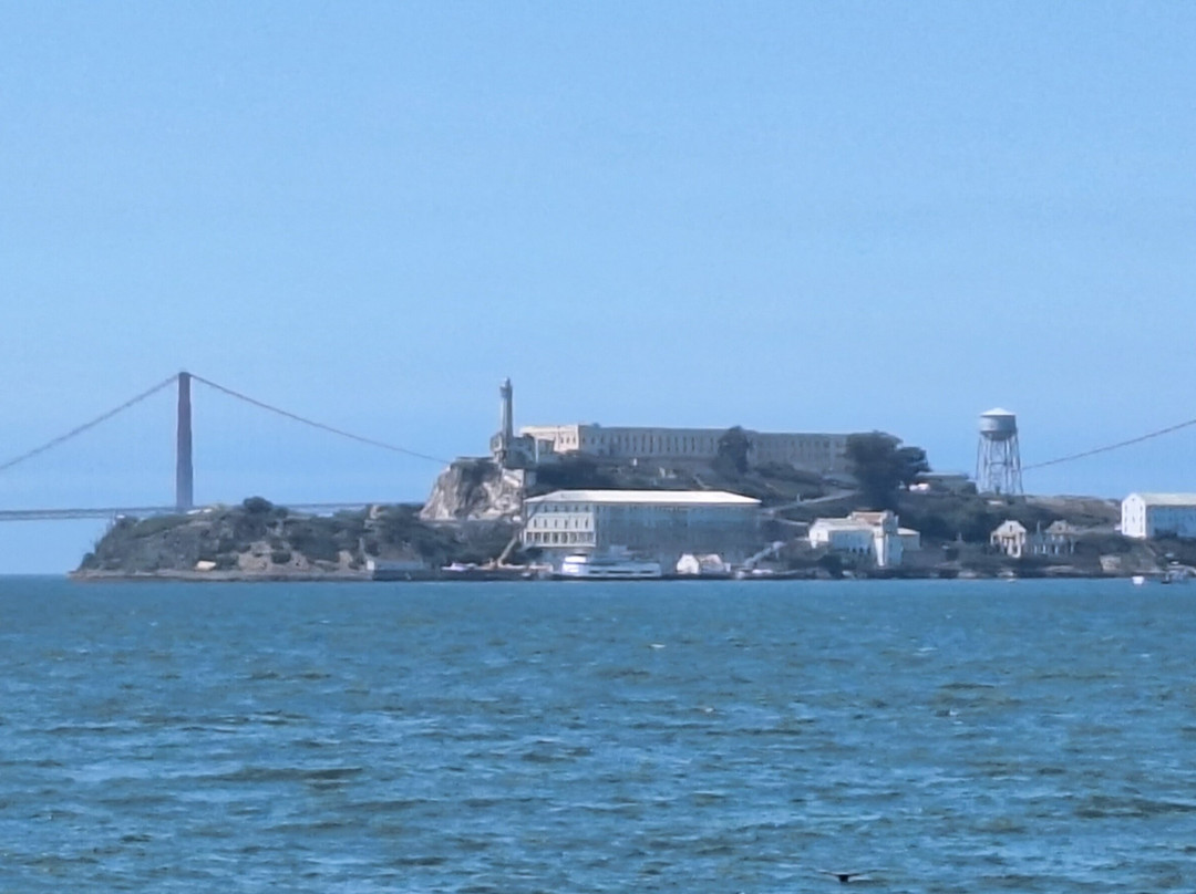 Golden Gate Ferry景点图片