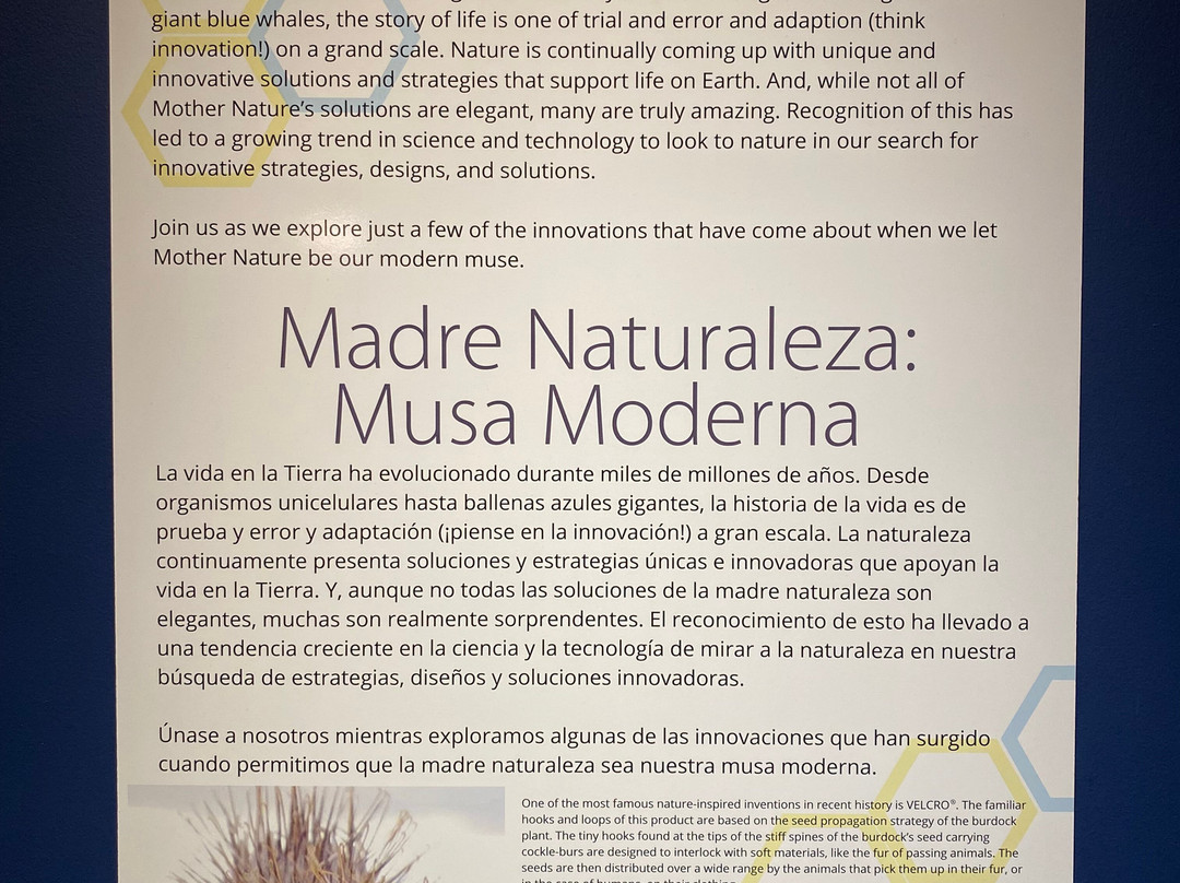 The Putnam Museum & Science Center-达文波特必去景点