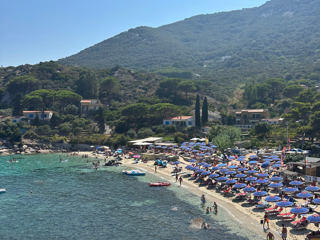 Spiaggia Arenella-Isola del Giglio必去景点