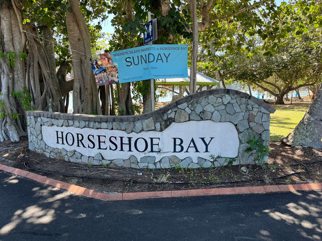 Magnetic Island Ferries-汤斯维尔必去景点