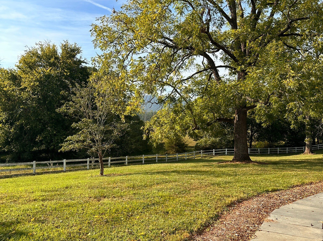 The 1804 Inn of Barboursville Vineyards主图