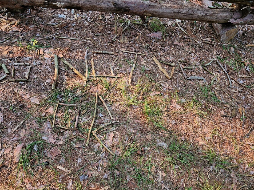 Oak Openings Preserve Metropark-Swanton必去景点
