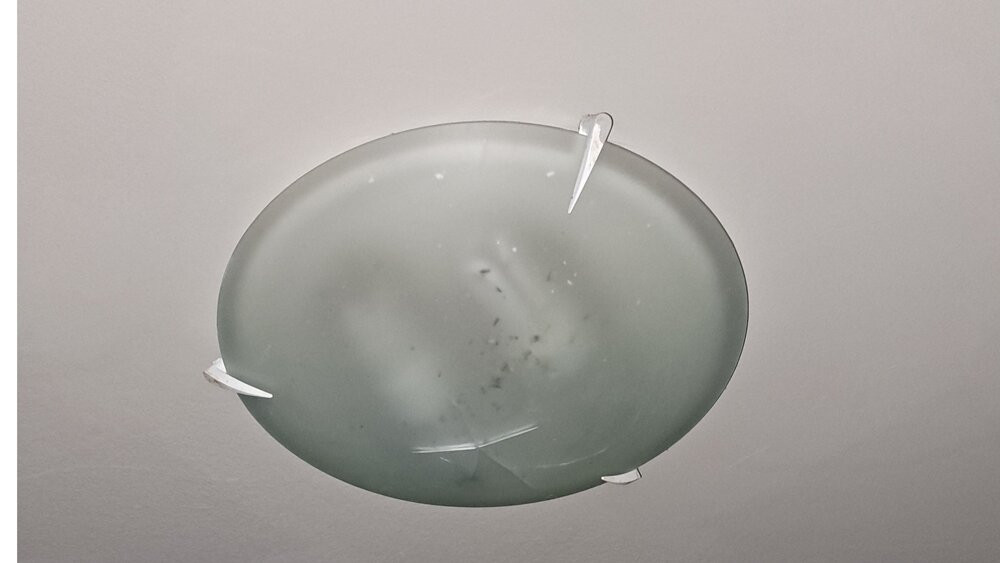 Hotel El Pradet主图