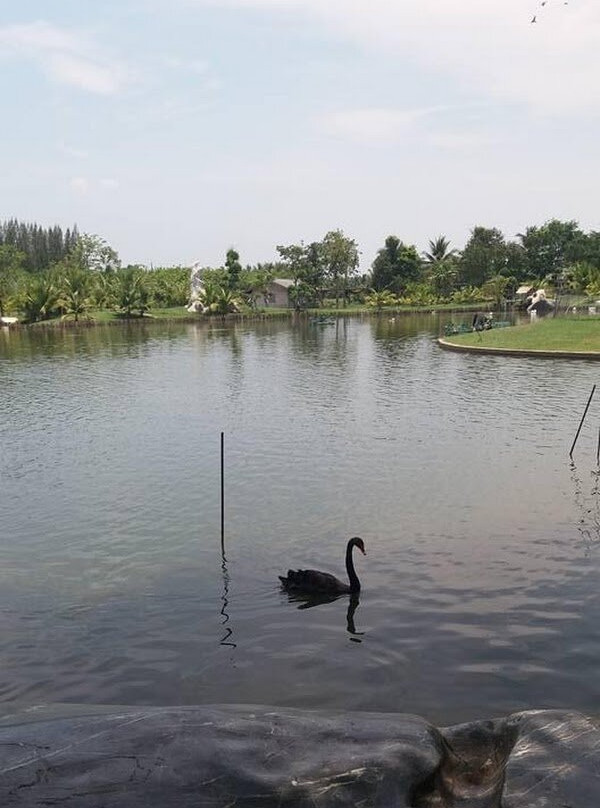 Wat Luang Phor Toh景点图片