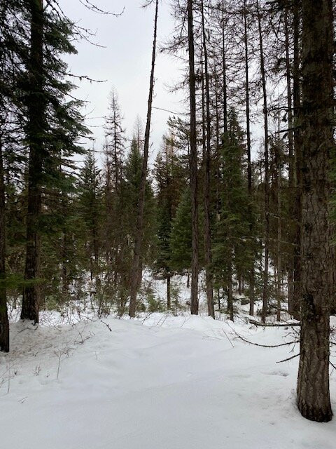 Lupfer Lookout Trail景点图片