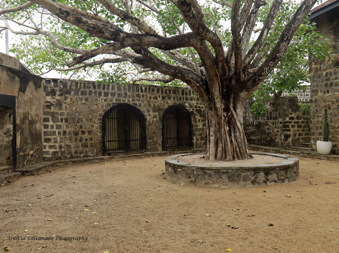 Fort Hammenhiel Resort主图