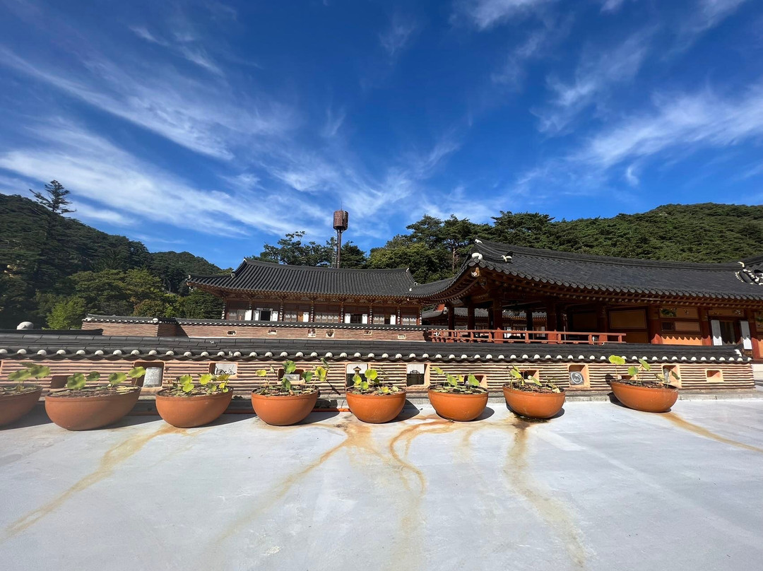 Beopjusa Temple-报恩郡必去景点