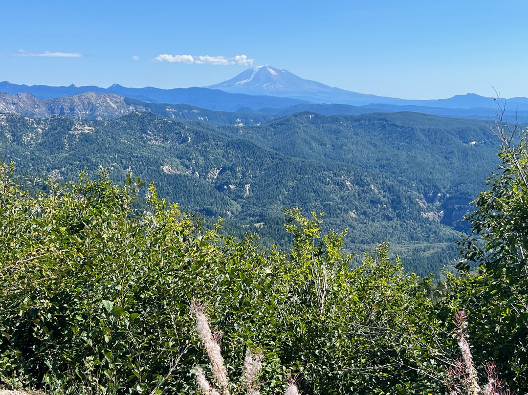 Mount St. Helens National Volcanic Monument景点图片