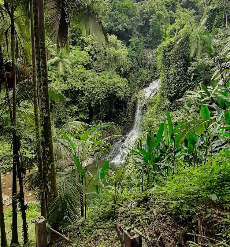 Salto do sagrado景点图片