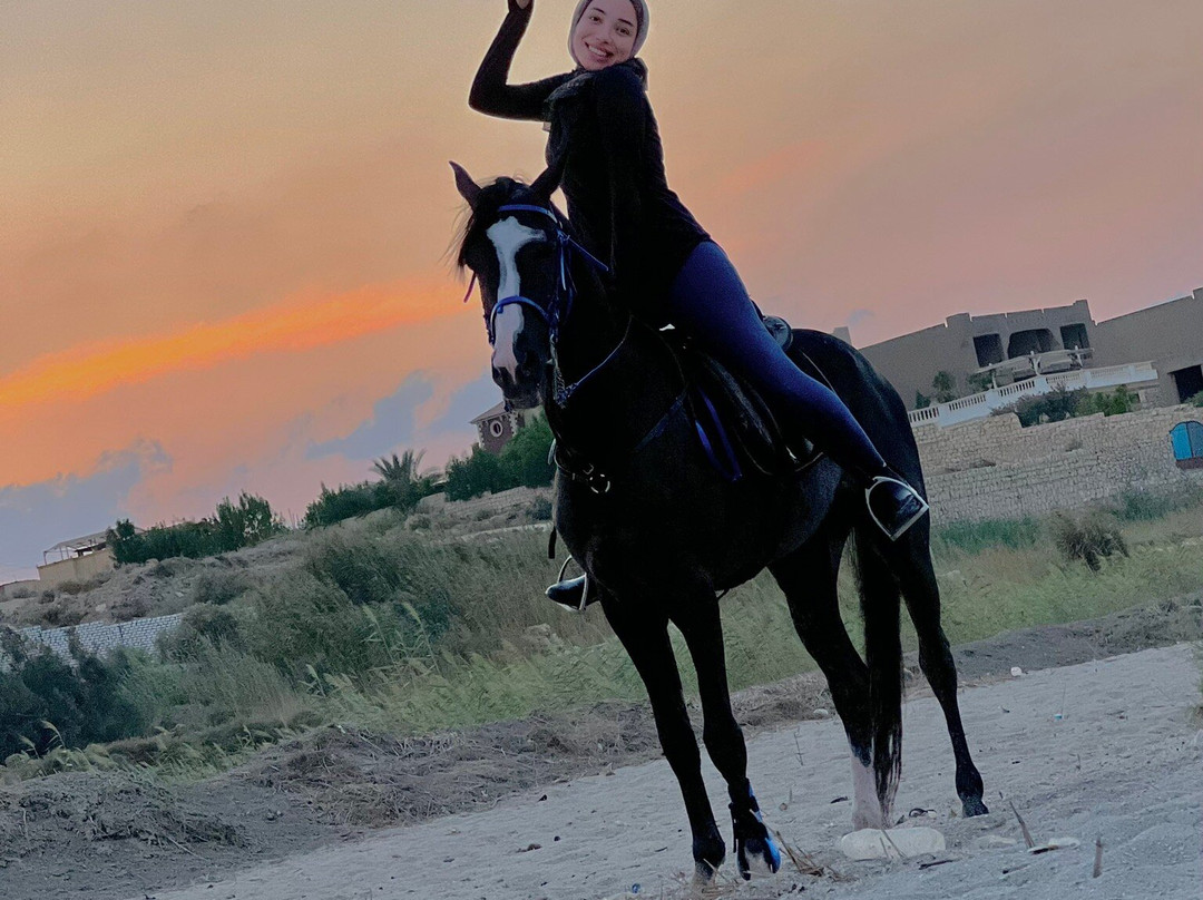 Tunis Stable-Tunis必去景点