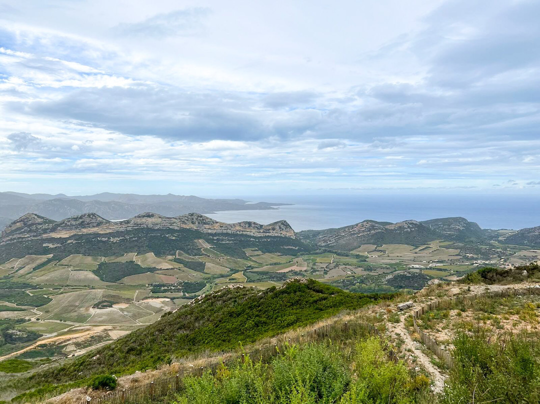Corsica Wine Tours-Bastia必去景点