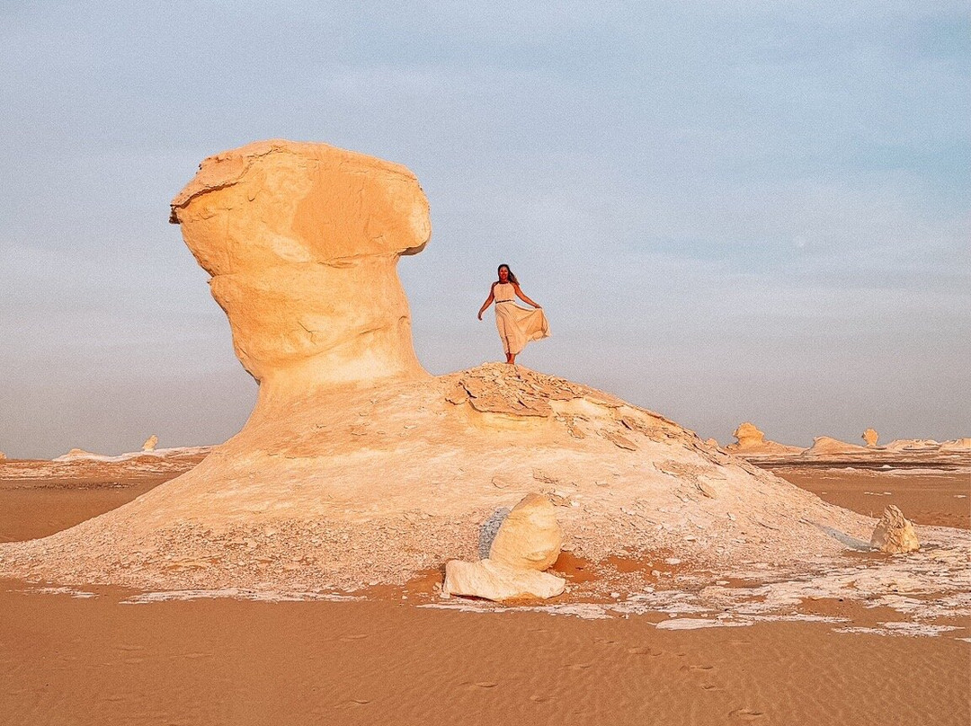 Desert Treasures Tours - Day Tours景点图片