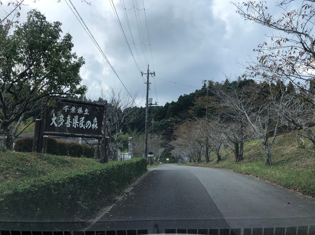 Chiba Otaki Residents Forest-大多喜町必去景点