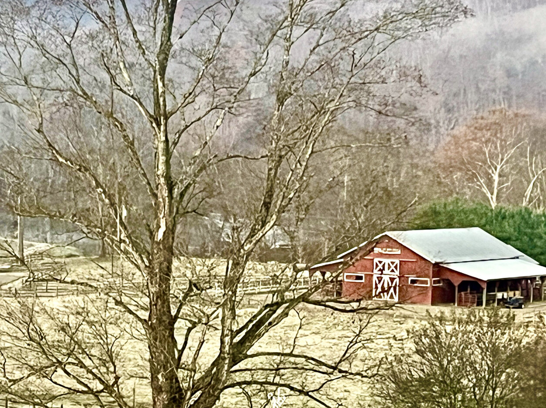 New River Trail State Park-Max Meadows必去景点