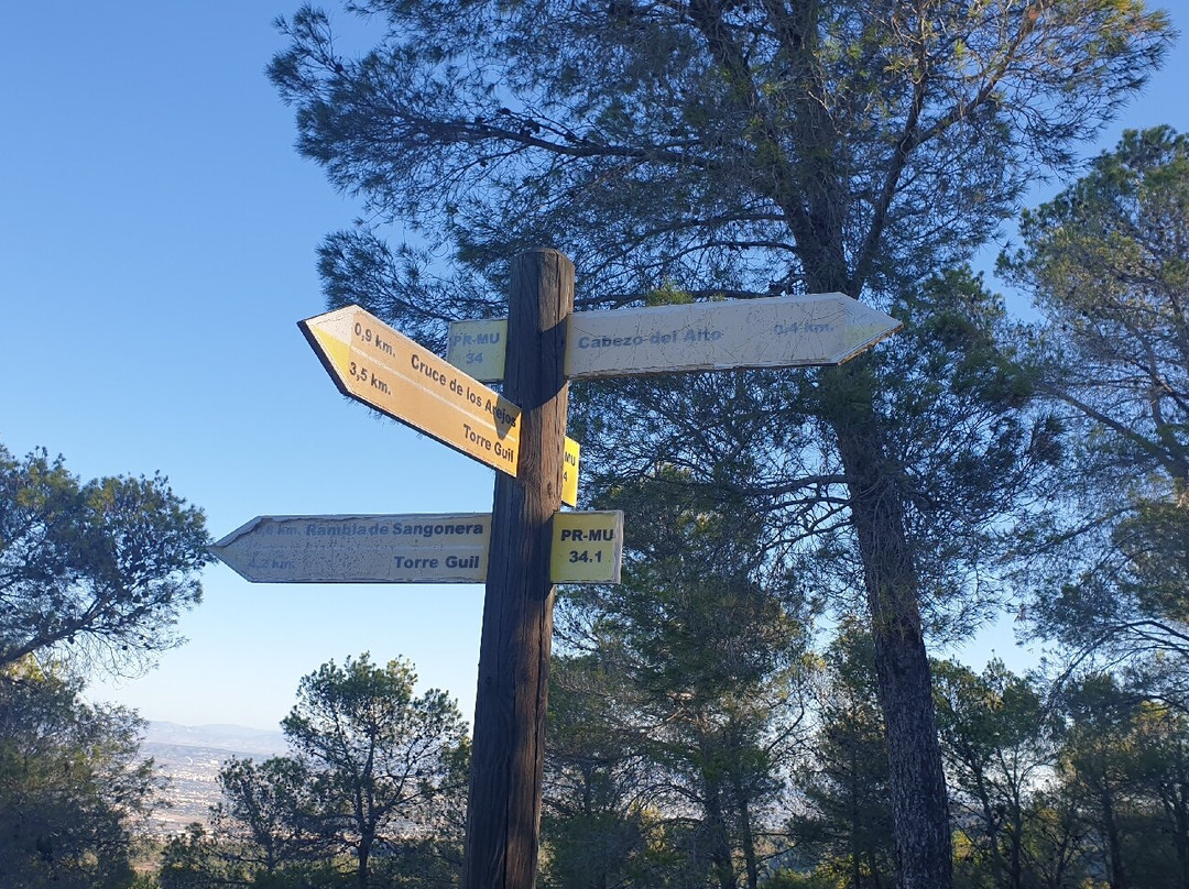 Mirador Cabezo del Alto