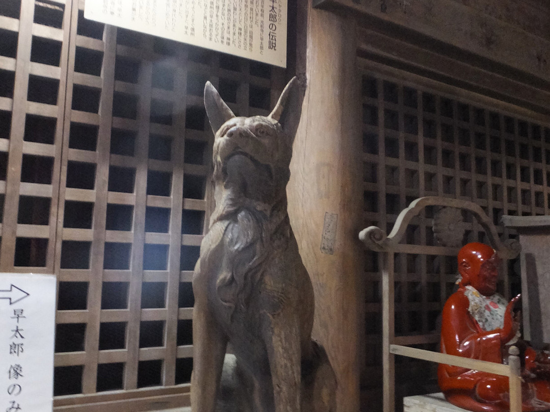 Kozenji Temple景点图片