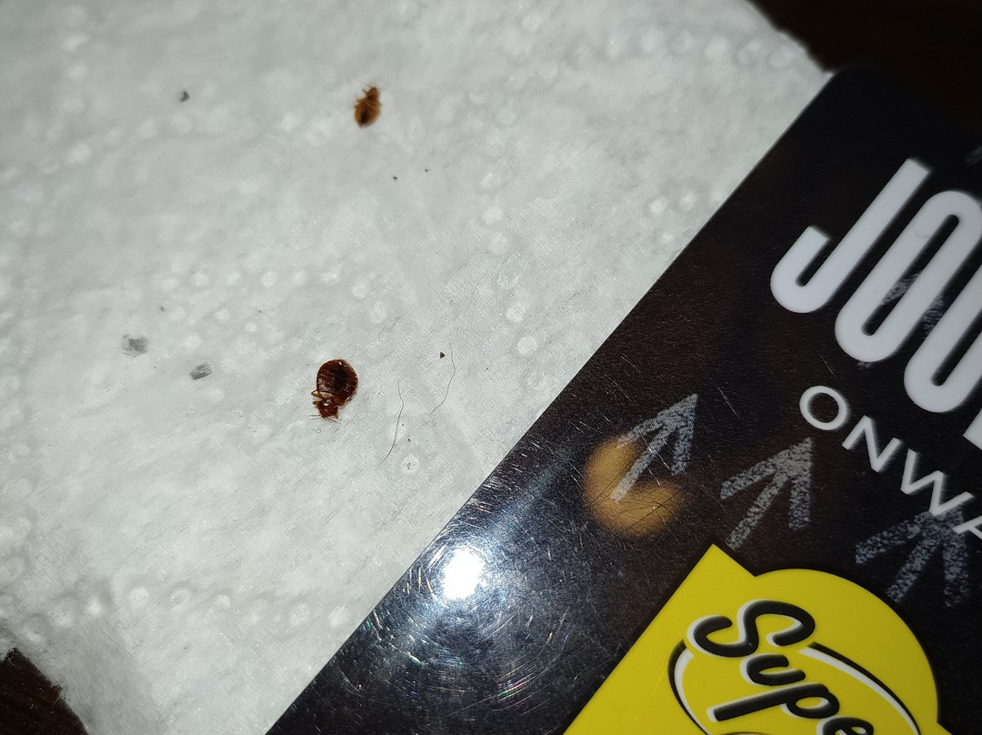 Super 8 by Wyndham Midwest City OK主图