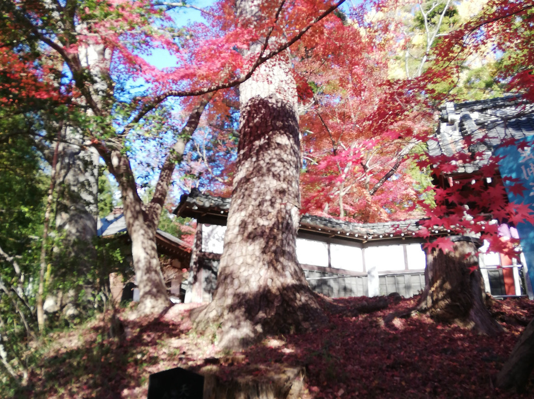 Chorin-ji Temple-足利市必去景点