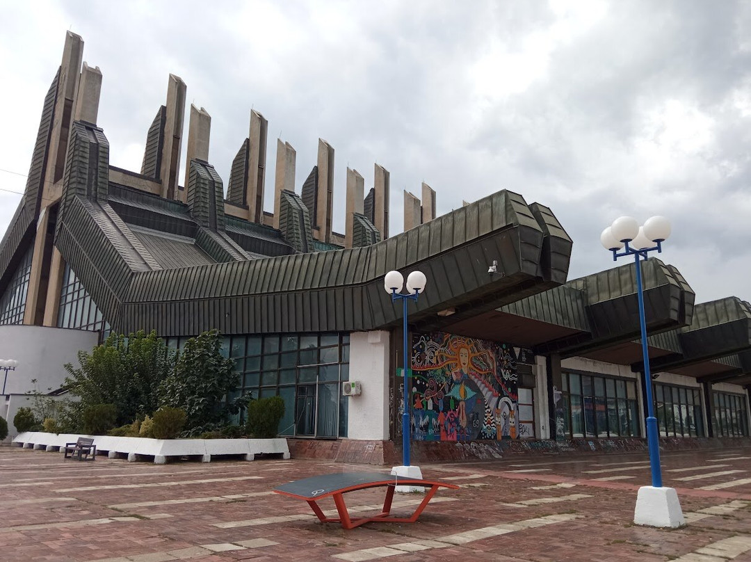 Youth and Sports Center-普里什蒂纳必去景点