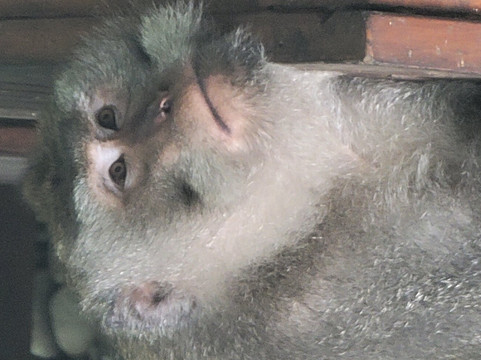 Tuti Bali Driver-登巴萨必去景点