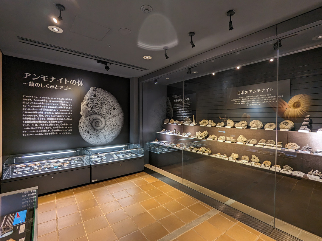 Kitakyushu Museum of Natural History & Human History-北九州市必去景点