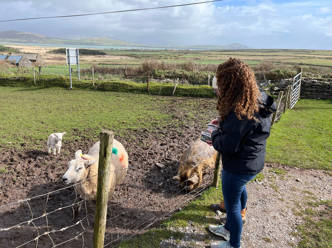 Small Escorted Tours Of Ireland景点图片