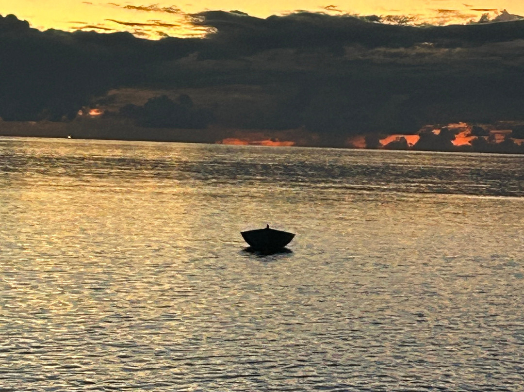 Turtle Maldives主图