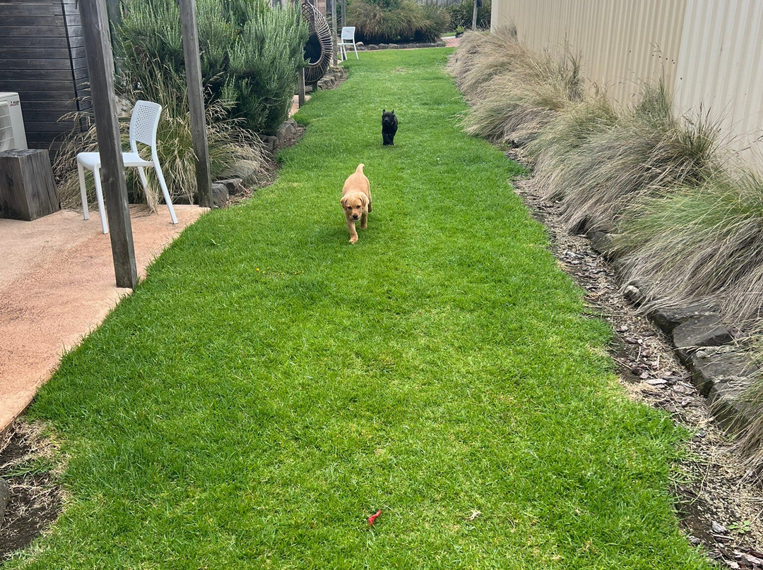 Peterborough Motel主图