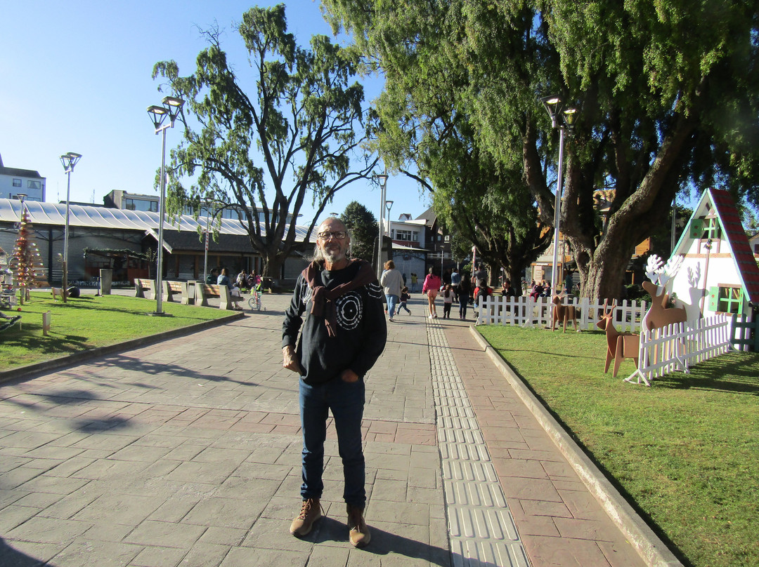 Plaza de Armas-巴拉斯港必去景点