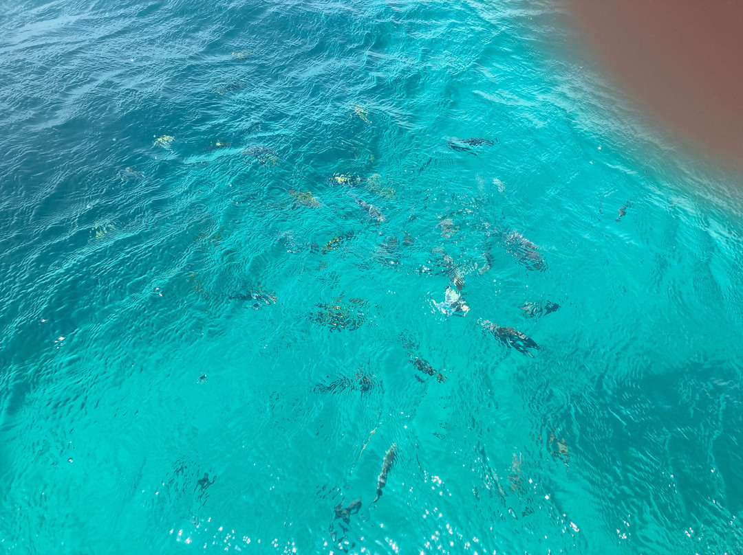 Zanzibar safari and Excursion Tours-石头城必去景点