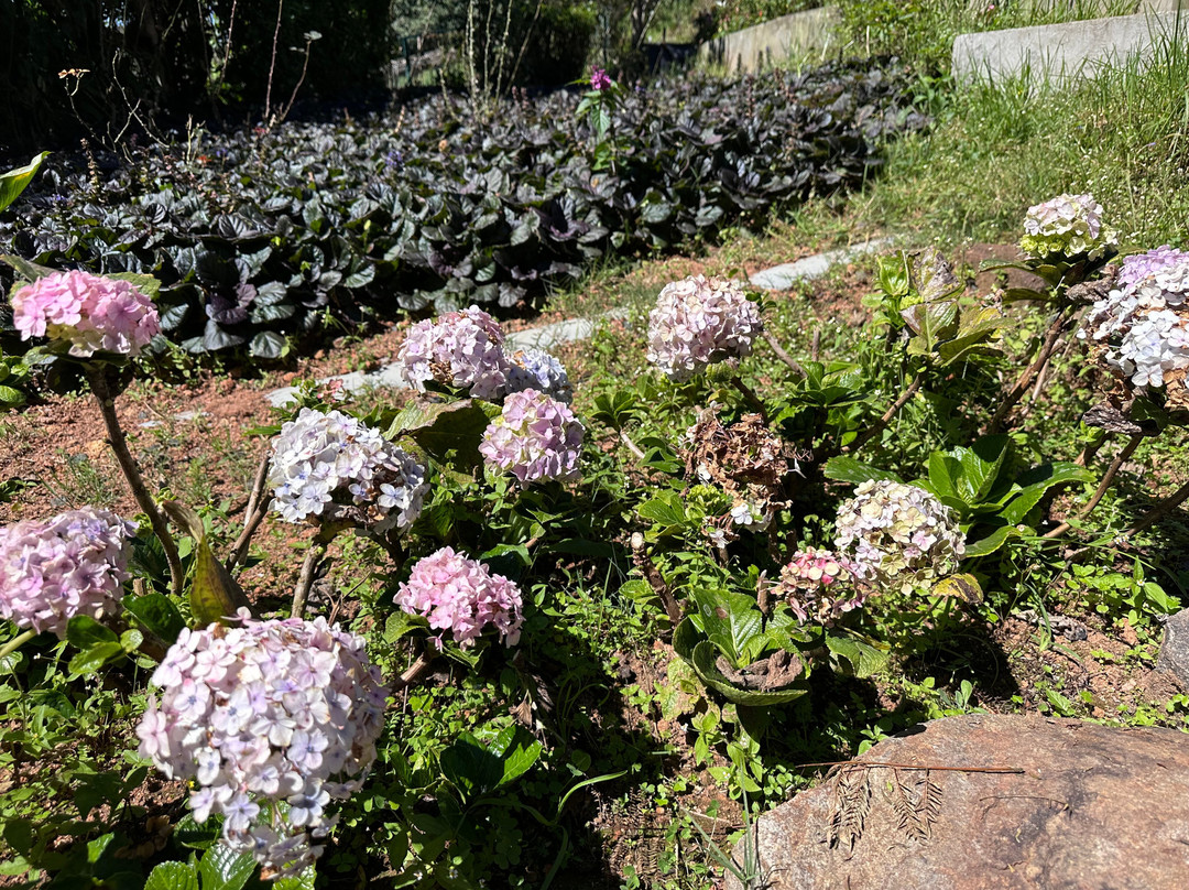 Milford Coonoor主图